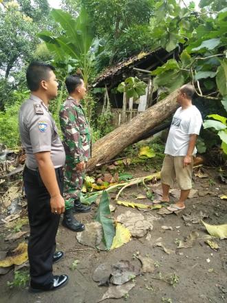 Pohon Tumbang mengenai rumah warga di Gelangan